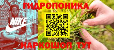 гидра Рыбинск