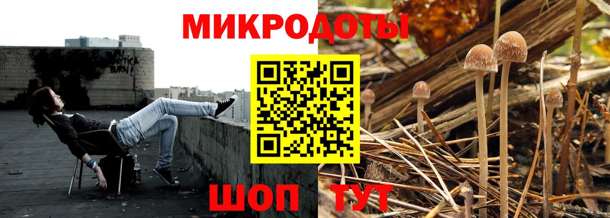 Псилоцибиновые грибы Psilocybine cubensis Пугачёв